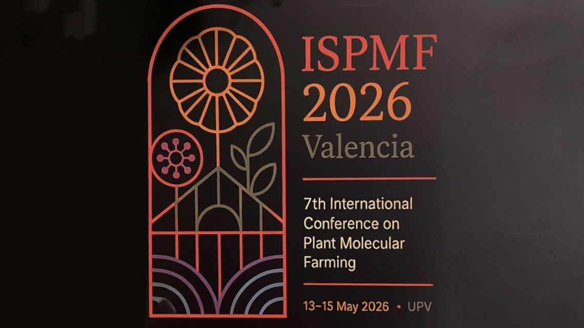 ISPMF2026