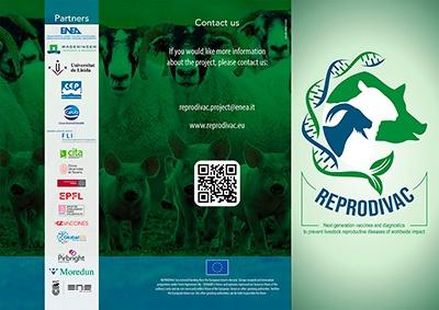 Brochure Reprodivac Project