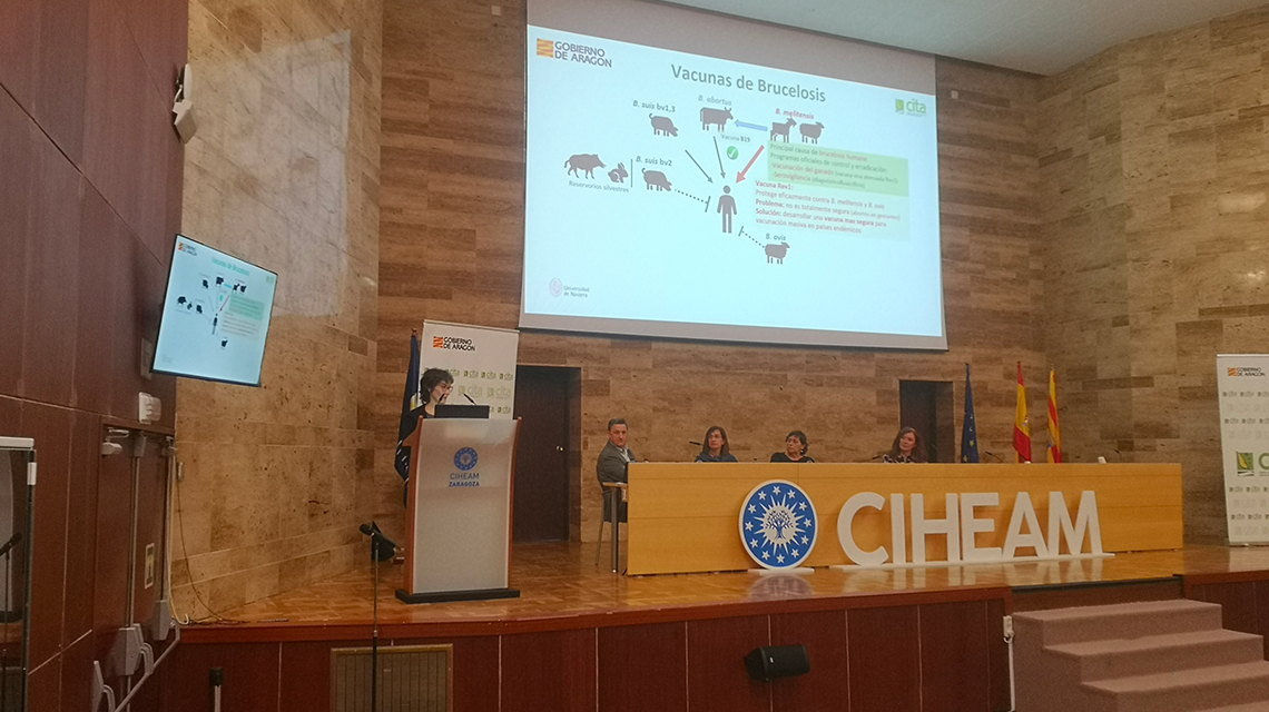 infoday 2024
