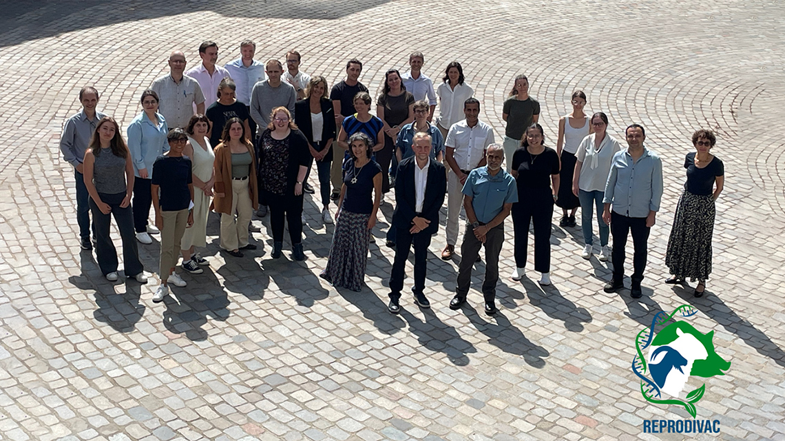 REPRODIVAC group in Lyon