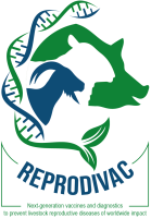 REPRODIVAC Annual Meeting